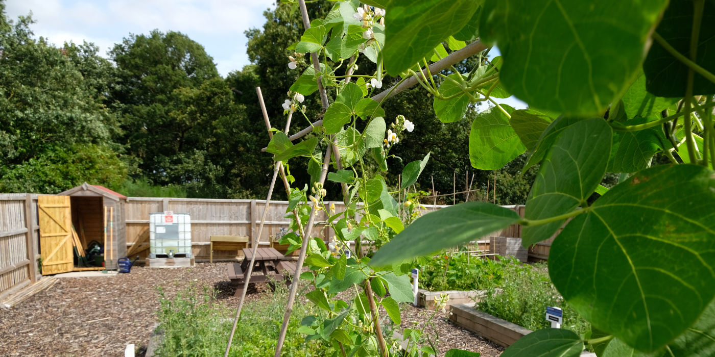 BBP Allotment Club
